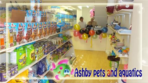 Asby Pets & Aquatics Scunthorpe